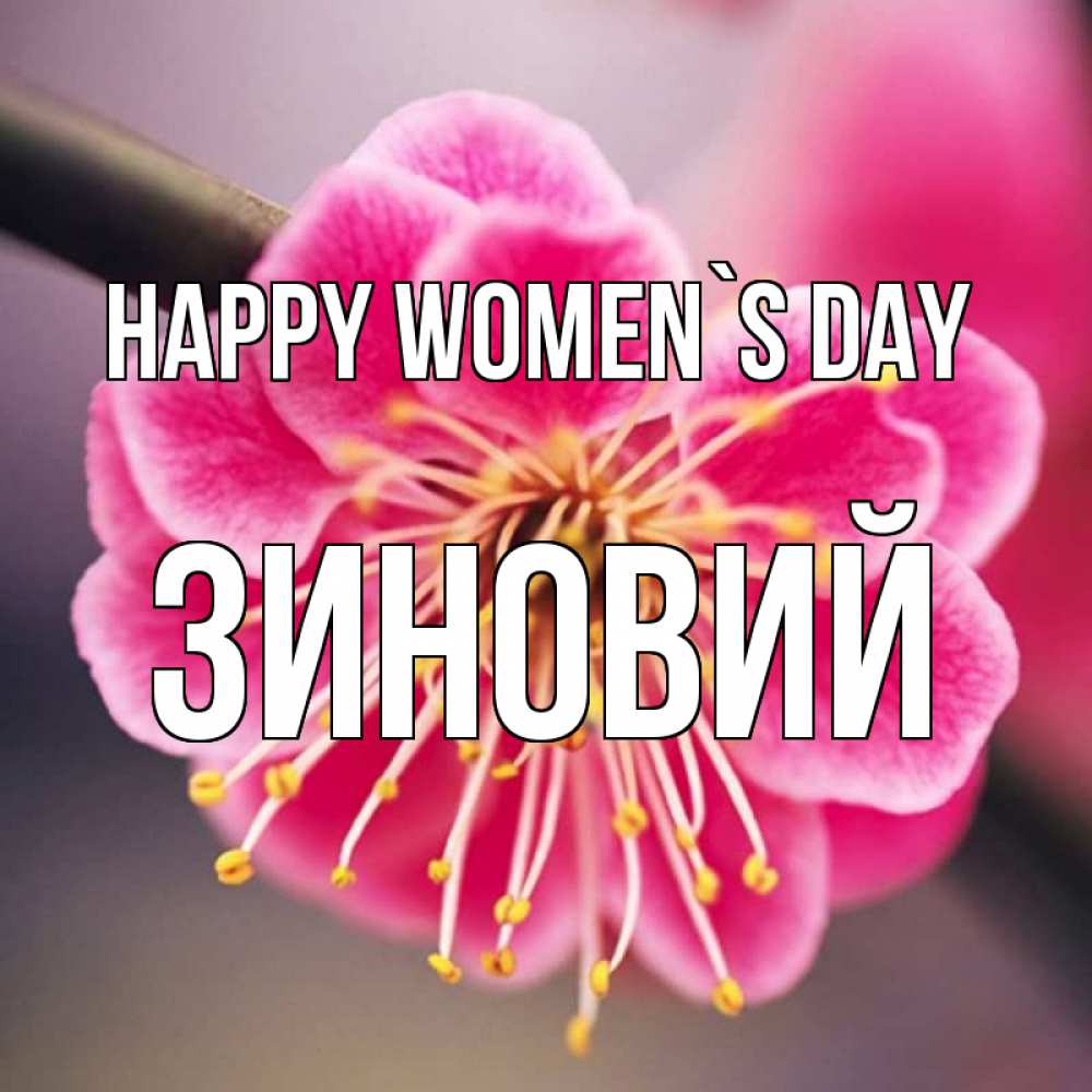 Greetings card с именем, Зиновий happy women`s day цветы Greetings with text for free download 